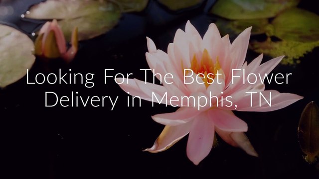Flower Delivery in Memphis, TN | (901) 531-9586