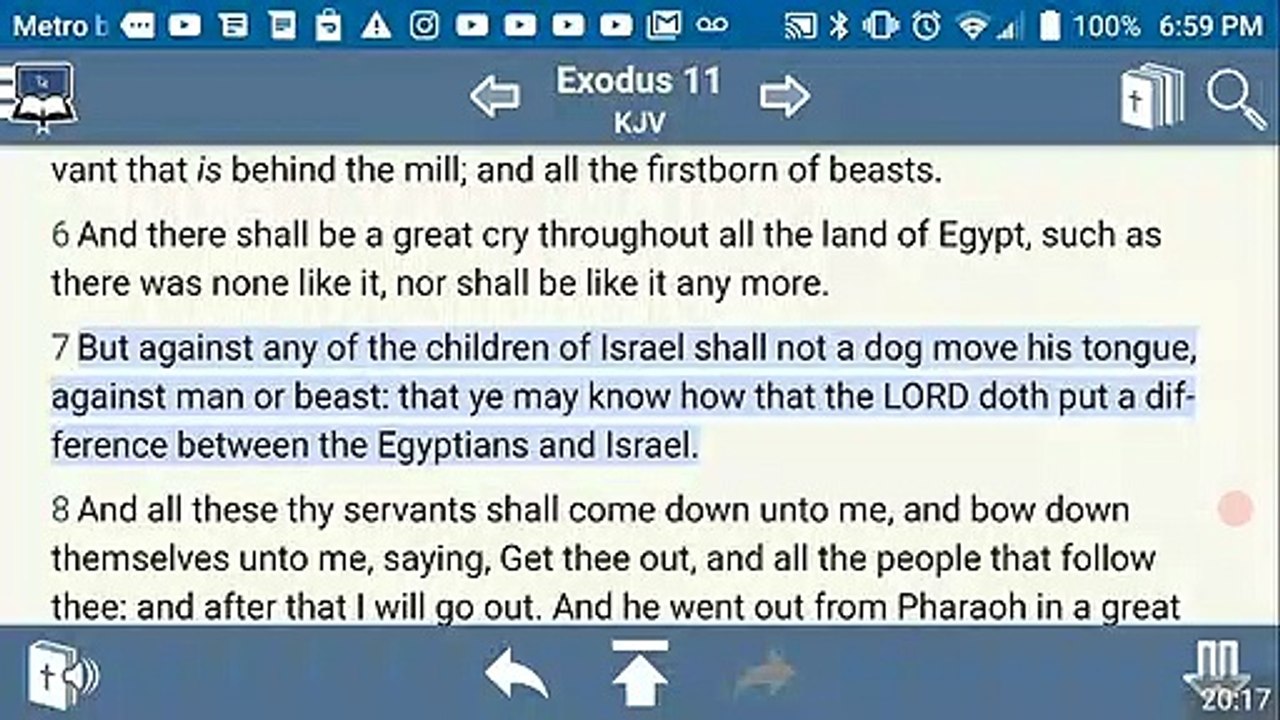 GINGER MCFRECKLES SAY HEBREW ISRAELITES ARE A CULT