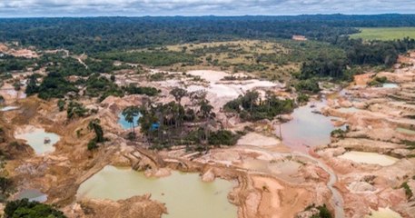 La forêt amazonienne a perdu plus de 10 000 km2 de surface à cause de la déforestation, une première depuis dix ans