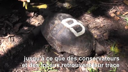 Bangladesh: nouvel espoir pour une tortue menacée d'extinction
