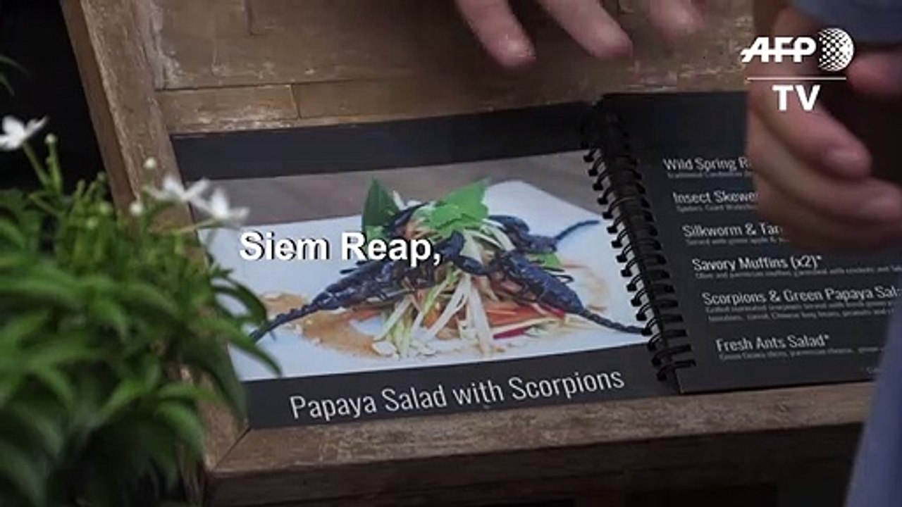 Cambodia 'bug cafe' serves up insect tapas