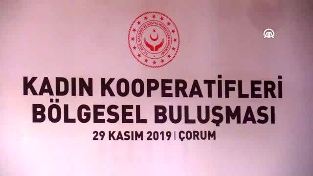 Zümrüt Selçuk: Türkiye olarak, kooperatif sayısı itibarıyla İtalya ve İspanya'dan sonra Avrupa'da...