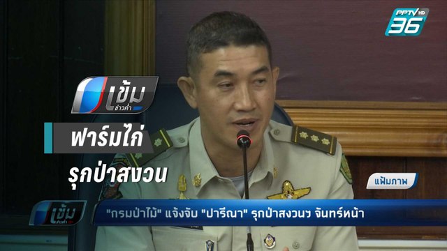 กรมป่าไม้ เตรียมแจ้งความ “เอ๋ ปารีณา” รุกป่าสงวนฯ จันทร์หน้า | เข้มข่าวค่ำ