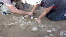 Çorum'daki kazıda, 3 bin 500 yıllık kafatası bulundu