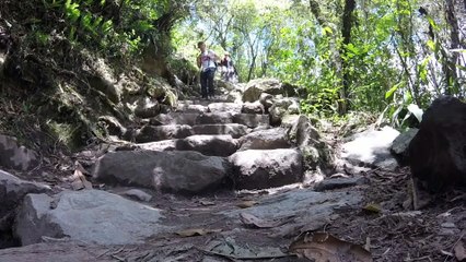 The Inca Trail - Medwyn Goodall