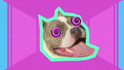 Mamonas Assassinas - Mundo Animal