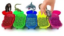 ZOO Safari Toys Wrong Heads Learn Colors With Bathtubs And Beads Colorful Finger Paints paint
