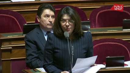 Ambassadeurs thématiques : Nathalie Goulet dénonce le manque de transparence