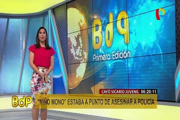 Carabayllo: ladrón roba batería de auto en cuestión de segundos
