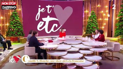 Camille Lellouche : son tacle à André Manoukian après son casting raté pour Nouvelle Star (vidéo)