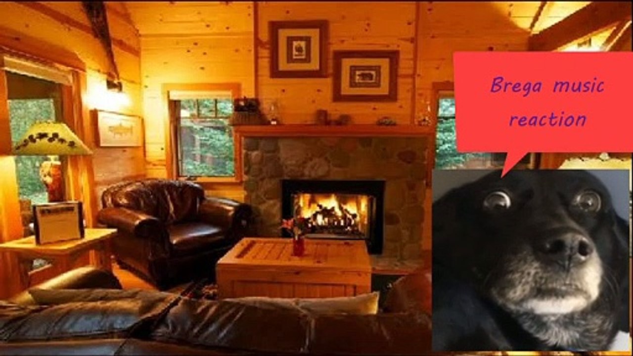 Brega music reaction episódio I - Saudades de Rosa