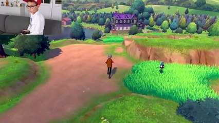 SWAN TESTE POKÉMON ÉPÉE ET BOUCLIER - NINTENDO SWITCH