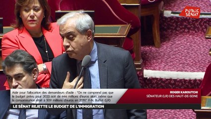 Download Video: Projet de loi de Finances 2020 : le Sénat rejette les budgets de l'Immigration e - Les matins du Sénat (29/11/2019)