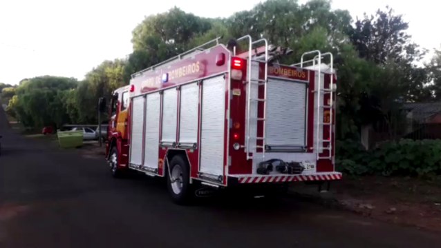 Cobras aparecem em residência no Universitário e Corpo de Bombeiros é mobilizado