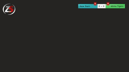 New Team Vs White Tigers - 29/11/19 19:30 - League Z5 - Z5 Aix