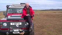 Las Malvinas pasan de la tradicional cría de ovejas al turismo de naturaleza