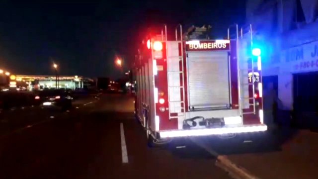 Corpo de Bombeiros é mobilizado para capturar ouriço