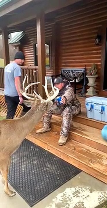 Deer Wants What Hunter is Drinking