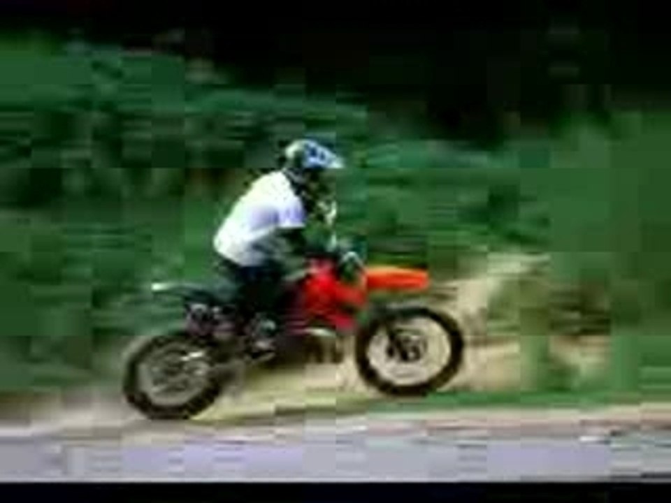 Le fou