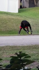 Edging the Lawn with an Angle Grinder