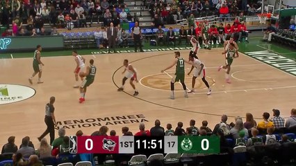 Cameron Reynolds (18 points) Highlights vs. Erie BayHawks