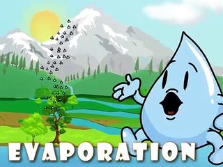 Ultimate Video Guide to Understanding the Water Cycle 🌊