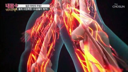 혈액이 전신 순환하는 데 걸리는 시간은?