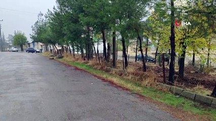 Araçta silahla oynayan iki amca oğlundan biri diğerini vurdu