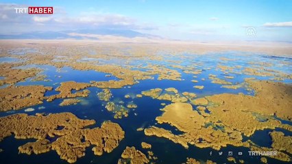 Afyonkarahisar'daki hazan güzelliği
