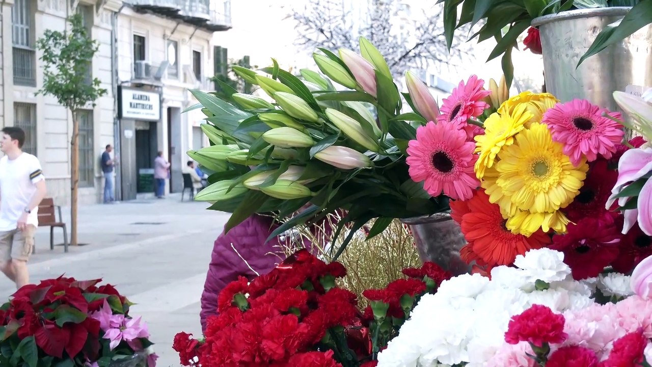 Juanma Moreno inaugura la nueva Alameda de Málaga