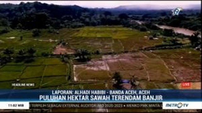 Puluhan Hektare Padi Rusak Akibat Luapan Sungai Lae Kombih