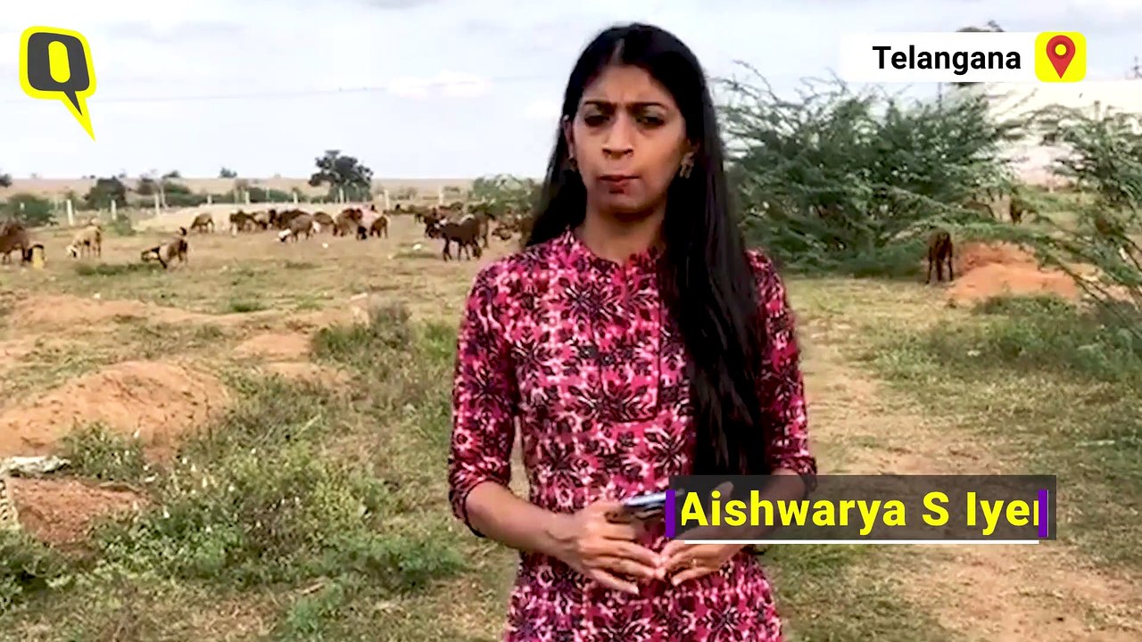 BJP MLA, Supporters Give Hyderabad Rape Case a False Communal Spin