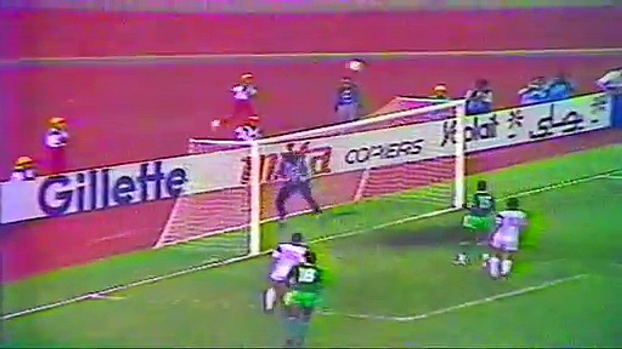 المنتخب