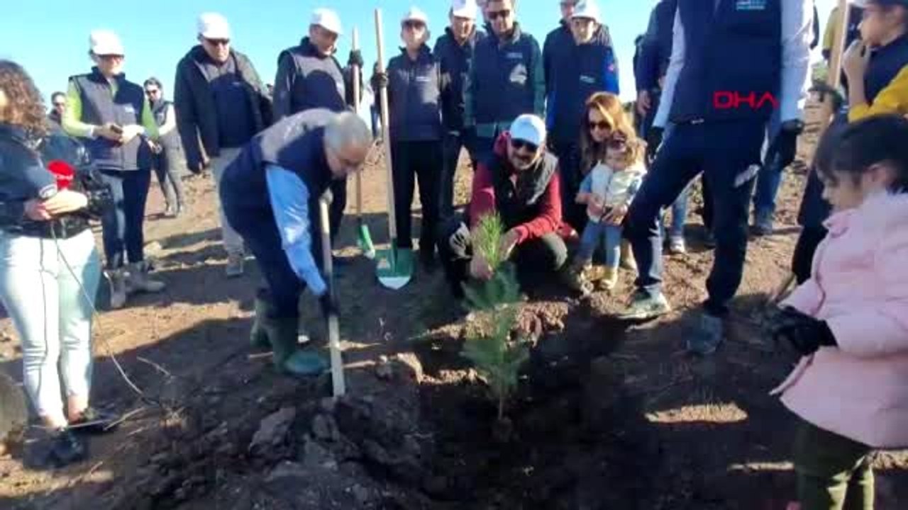 Limak enerji uludağ elektrik, bursa'ya bin fidan dikti