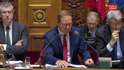 Le Sénat repousse d’un an la réforme du financement de la psychiatrie