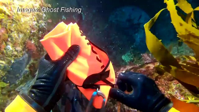 On the frontline to protect oceans, scientists scour remote Atlantic seamount