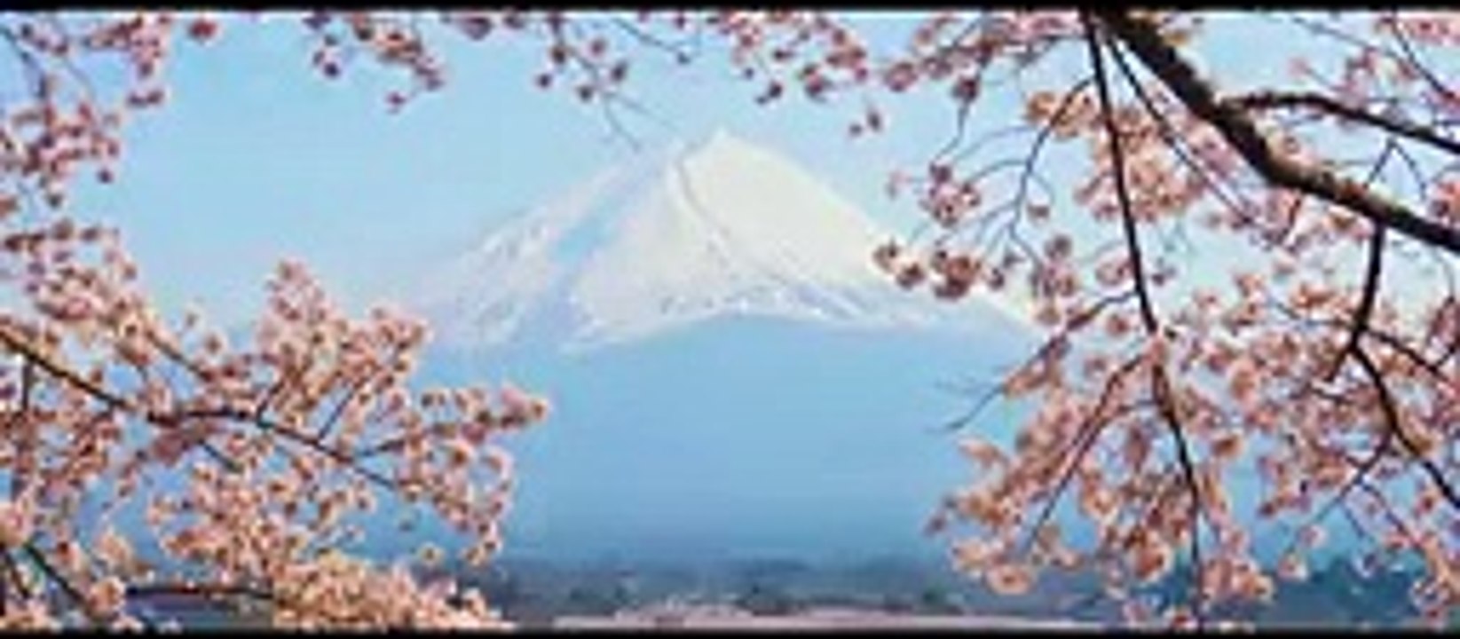 Asia Vacation Group