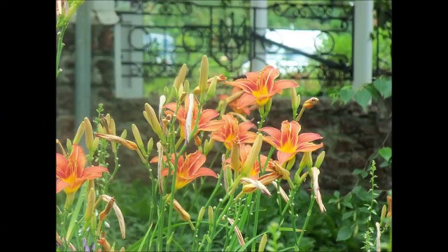 Зелёный туризм в селе Липовое