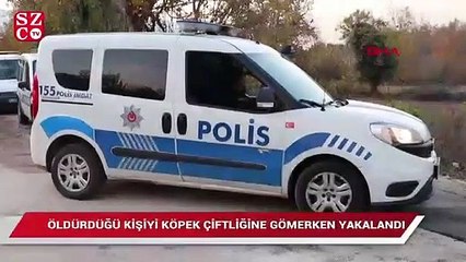 Öldürdüğü kişiyi köpek çiftliğine gömerken yakalandı