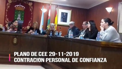 Pleno Cee 29-XI-2019