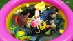 Learn Sea Animals Wild Animals Farm Animals With Toys in Water Pool