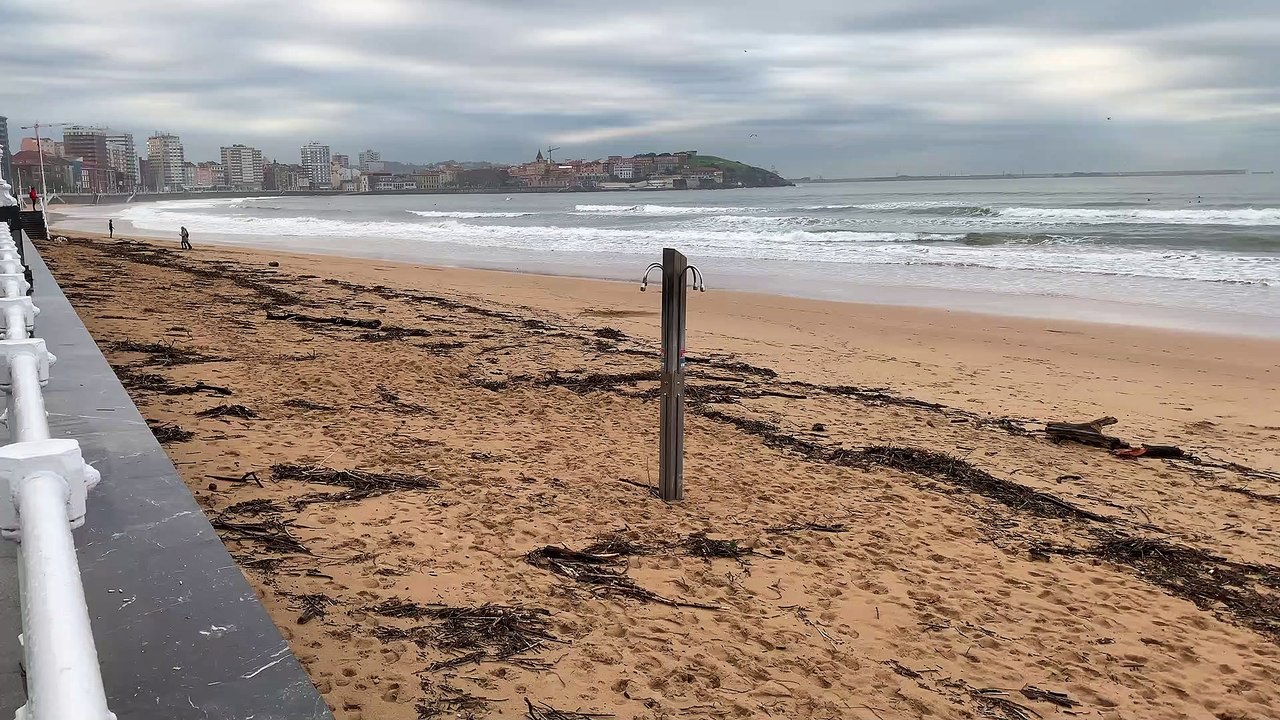 Olas y madera subió la tierra