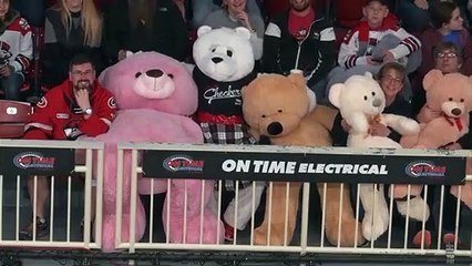 Providence Bruins 4 at Charlotte Checkers 1 FINAL