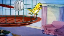 Tom and Jerry   Kitty Foiled, Episode 34 Part 1 ( 720 X 1280 )