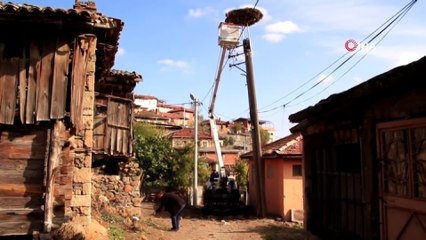 Leylekler gitti, yuvalarının bakım ve onarımları onlara kaldı