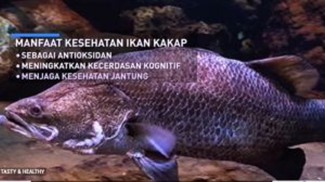 Mencicipi Kuliner khas Batam (2)