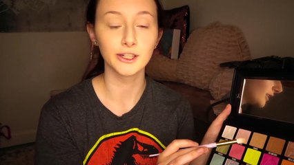 The Conspiracy Palette Shane DawsonXJeffreeStar GRWM