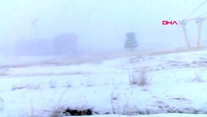 Erzurum çaşır bitkisinden diyabetik yaraları için krem ve sprey ürettiler