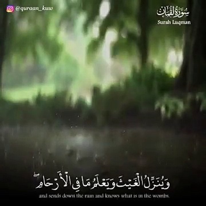 تلاوة رائعة __ إن الله عنده علم الساعة __ حالات واتس قرأن __ Quran Status 