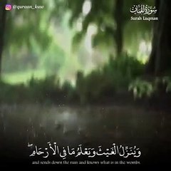 تلاوة رائعة __ إن الله عنده علم الساعة __ حالات واتس قرأن __ Quran Status 